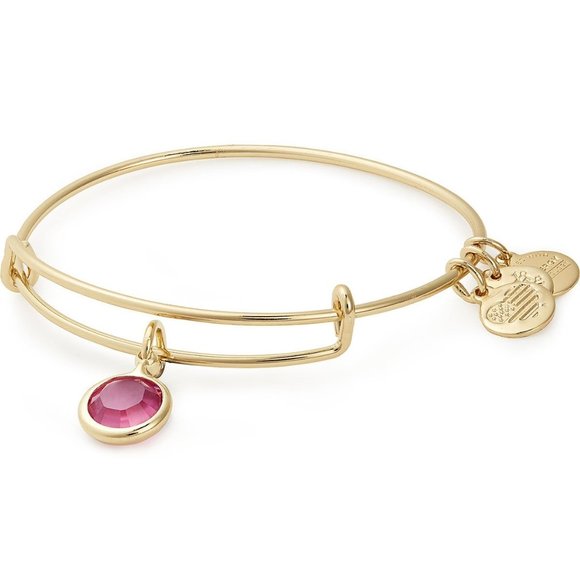 Alex and Ani Jewelry - NWT Alex & Ani Pink Swarovski Crystal Bangle